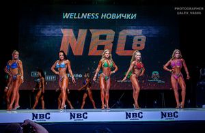 WELLNESS НОВИЧКИ